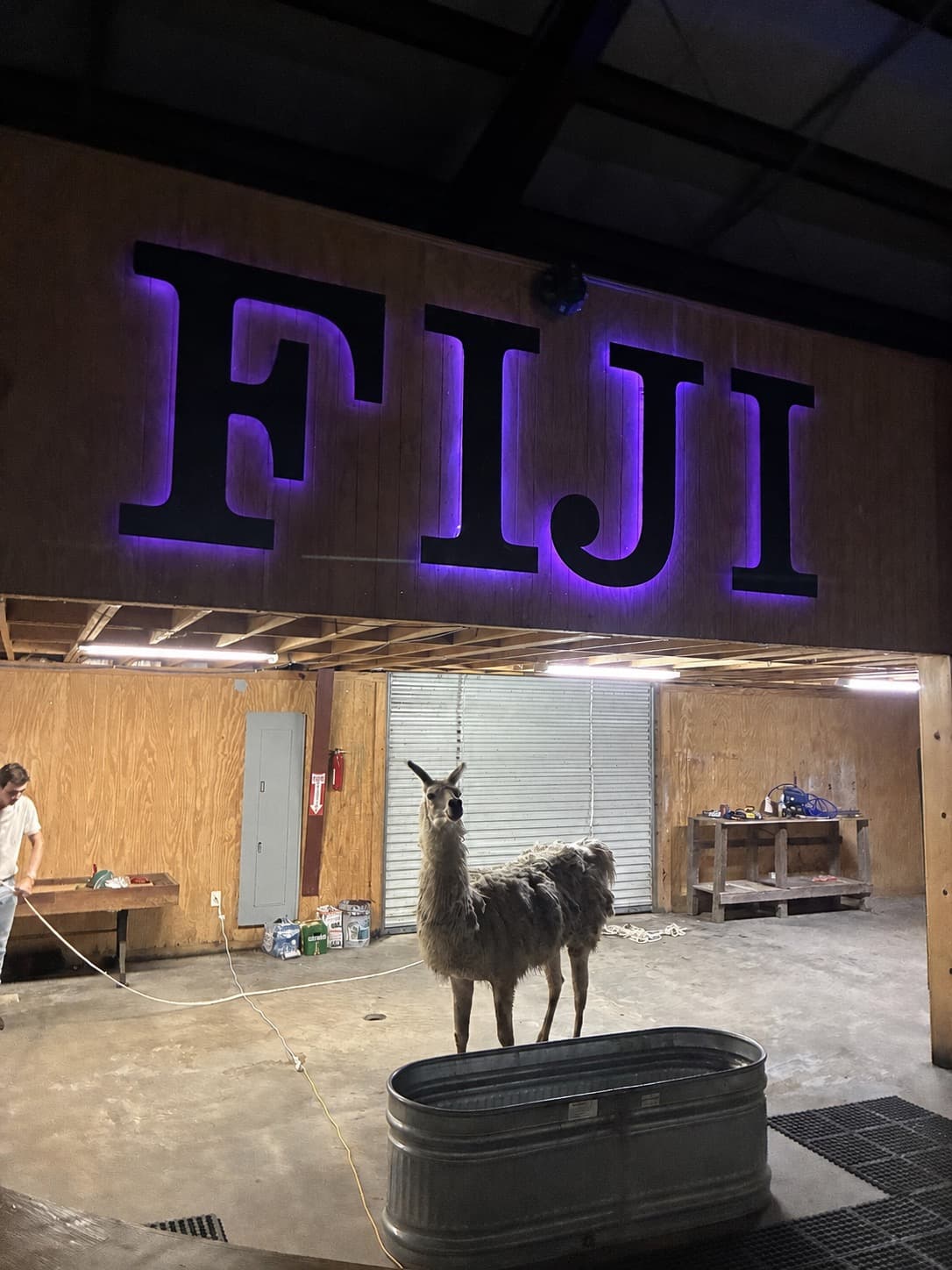 Ralph Under the FIJI Lights